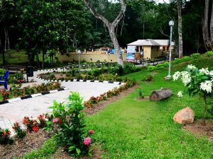 Ikogosi Warm Springs Resort