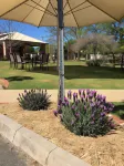 Wine Village Motor Inn Hotels in Corowa