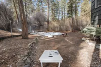 Dark Pine Retreat - Chalets