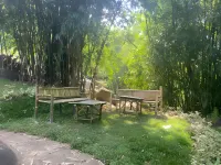 Hongthor Resort Hatikhuli T.E.住宿飯店
