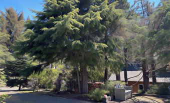 San Dune Inn