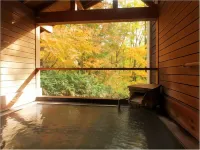 JURIN - Hot Springs