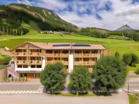 Chalet Aster - Parvekkeita