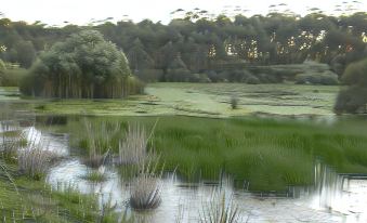 Bewong River Retreat