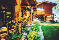 The Alpine House Отели рядом с достопримечательностью «Сноу Кинг Маунтин»