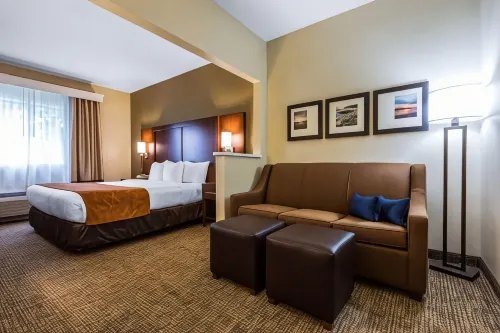 Comfort Suites Rochester Henrietta University Area Hotels in Henrietta