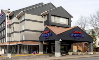 SpringHill Suites Rochester Mayo Clinic Area/Saint Marys