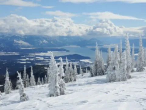 Downtown Charmer - Spacious 1 Bed 1 Bath  - Adventure Basecamp Hotels in Sandpoint