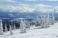 Downtown Charmer - Spacious 1 Bed 1 Bath  - Adventure Basecamp Hotels in Sandpoint