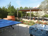 Azienda Agrituristica le Betulle