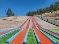 Super 8 by Wyndham Williams West Route 66/Grand Canyon Area