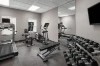 Residence Inn Tampa Oldsmar Hotels in Westchase