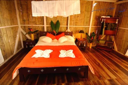 Amazon Dolphin Lodge - chambre d’hôtes