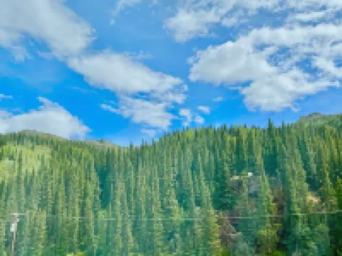 Denali Rainbow Village RV Park and Motel Hotels in Denali