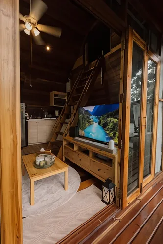 รูปภาพของเดอะจังเกิ้ลทัช