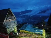 Backpackers Hostel Hotels in 
