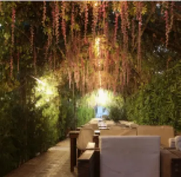 Cross Apartments and Tours Hoteles en 