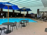 Buffalo Marriott Niagara - Pools