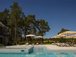 Hotel Saltic Resort & Spa Łeba