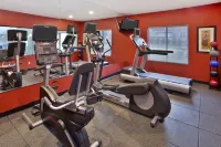 Holiday Inn Express & Suites FRANKENMUTH by IHG - Gym