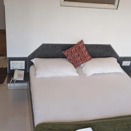 Hotel Nisarg Отели в г. Авакали