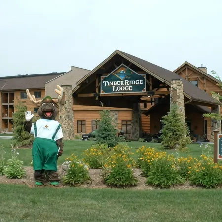 Timber Ridge Lodge and Waterpark Отели в г. Лайонс