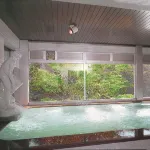 Hotel Miyama - Hot Springs