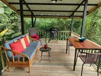 Casa Toucan, Secluded Jungle Setting with Ocean View & 40 foot Pool