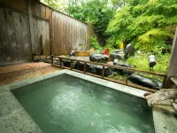 Nikko Toshogu Koyoen - Hot Tub