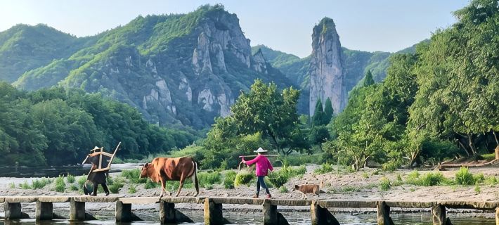 Qingshe Manlv Homestay Hotéis em Condado de Jinyun