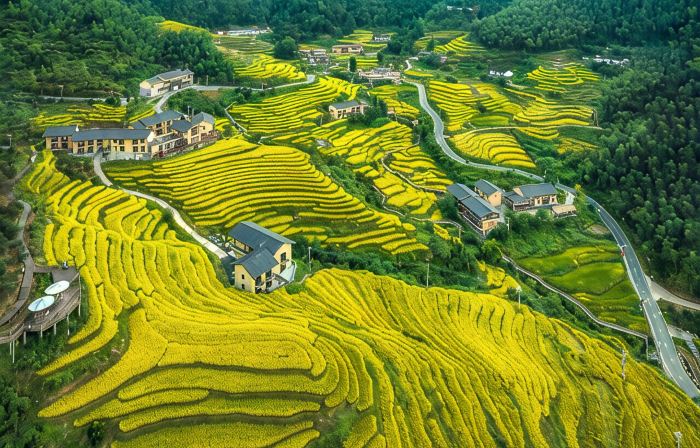 Chongyi pusu homestay
