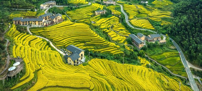 Chongyi pusu homestay Hotels in Chongyi