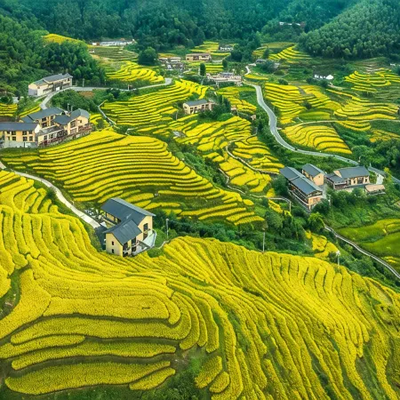 Chongyi pusu homestay