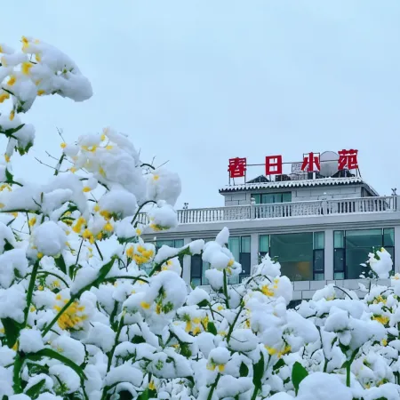 Luoping Chunri Xiaoyuan Homestay (Jinji Peak Cong Branch)