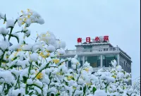 羅平春日苑民宿（金雞峯叢）