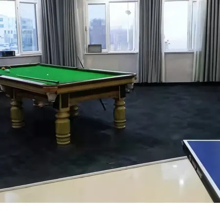 Jinta Shengyi Hotel