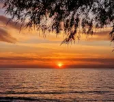 Artemis Beach Studios