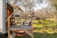 Twisted oaks forest cottage, Squaw Valley california - Homestays