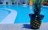 Hotel Intan Cirebon - Pools