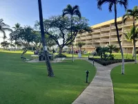 🌺Lush Oceanfront Penthouse with Pool, Hot Tub, Mountain Sunrises, Ocean Sunsets - Pool