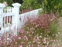 Delightful home away from home...comfortable, warm and beautiful gardens. 롤레스톤 호텔