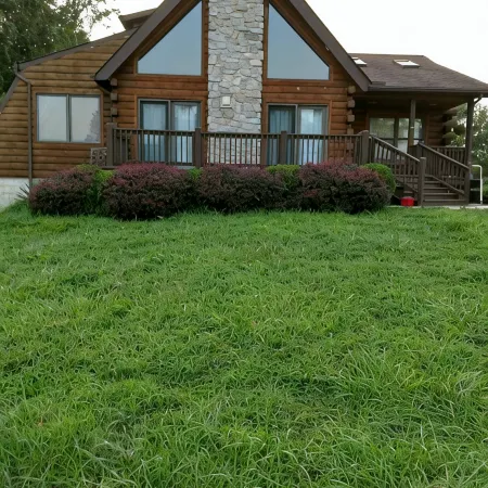 Charming 2-bedroom cabin close to Fair Hill on horse farm