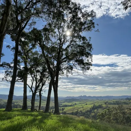 Off Grid Farm located 24klm from Barrington Tops National Park