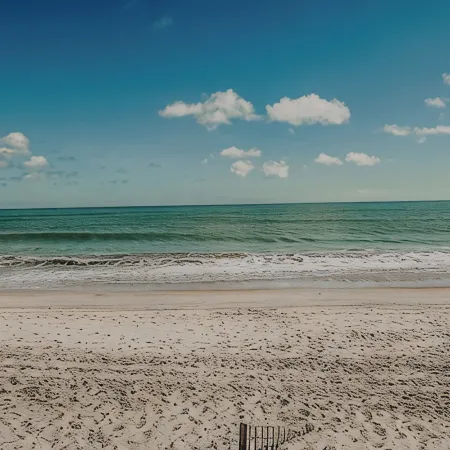 Sand Life - Pelican's Upper Deck!