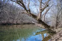 Cozy Creekside Retreat w/ Fire Pit & Game Room Near Historic Lexington, VA