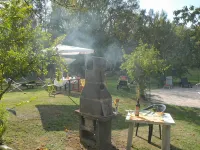 Country villa with private pool and garden great for families, groups Hotels in Gallicano