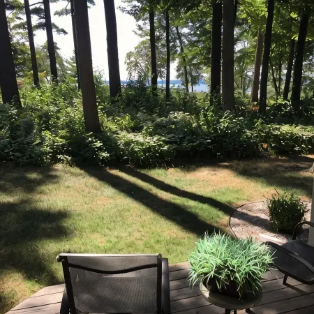 The Shores Lakeside Condo Unit 5680