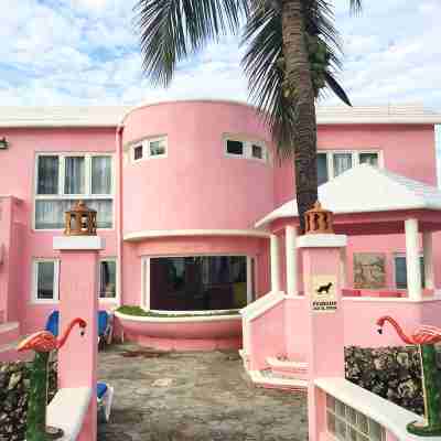 Villa Flamingo; Sleeps 8; Waterfall, Oceanfront Pool, Hot Tub Hotel Exterior