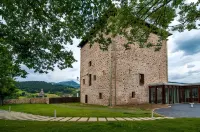 Hotel Torre Zumeltzegi