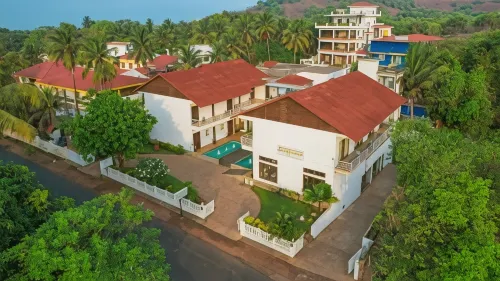 The Ivy Anjuna